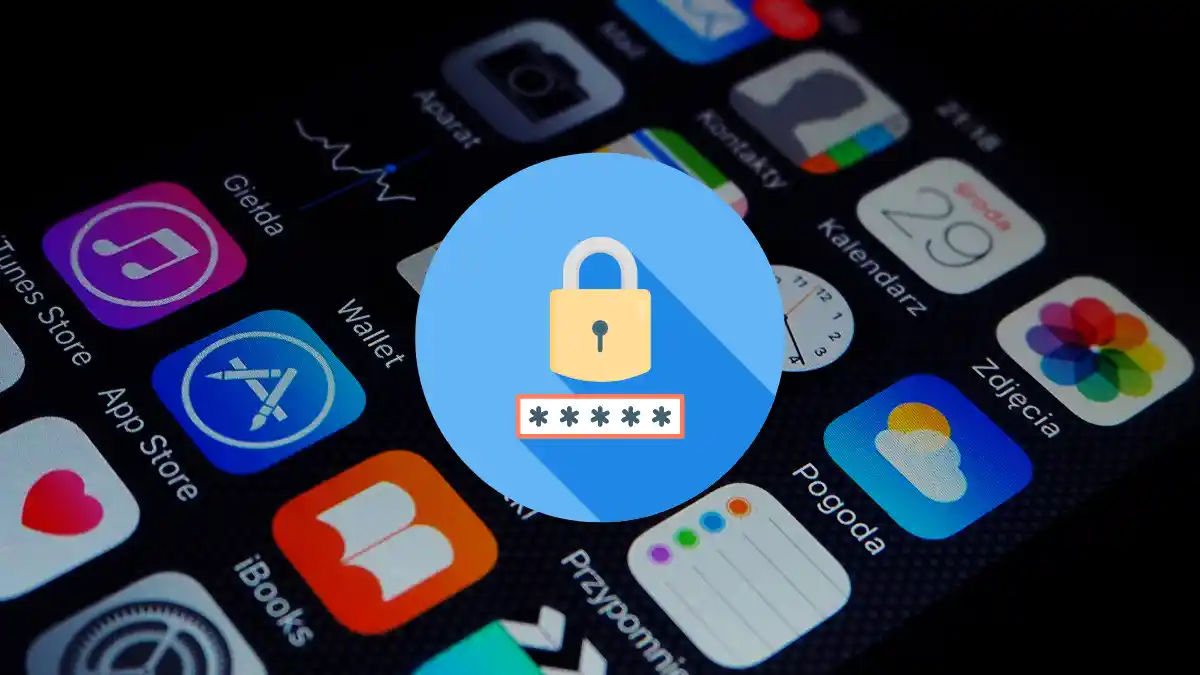 Application to put password on applications